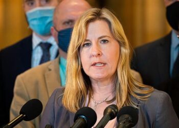 According to Investigators, a Minnesota Suspect tried to Murder two Other State Senators