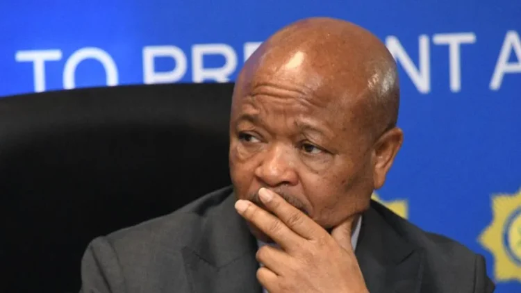 Due to Accusations of Organised Crime, the SA Police Minister was Suspended