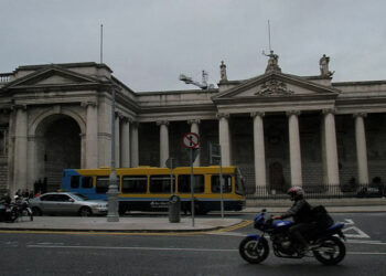 Public Outcry and Wildlife Rescue are Prompted by an Oil Spill at Dublin Park