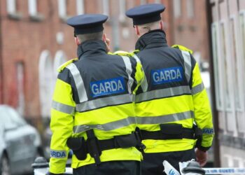 Ireland Arrests 13 as a Cross-Border Investigation Finds  Cannabis Haul