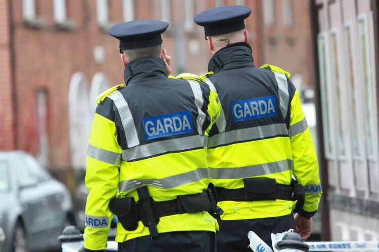 Ireland Arrests 13 as a Cross-Border Investigation Finds  Cannabis Haul