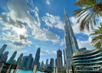 With Regard to Activities and Pricing, The UAE Explains the Free Zone Tax Policy