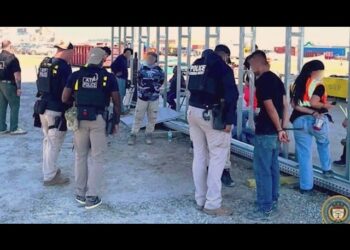 Hyundai Plant Raid in US Nets Workers on Visitor Visas