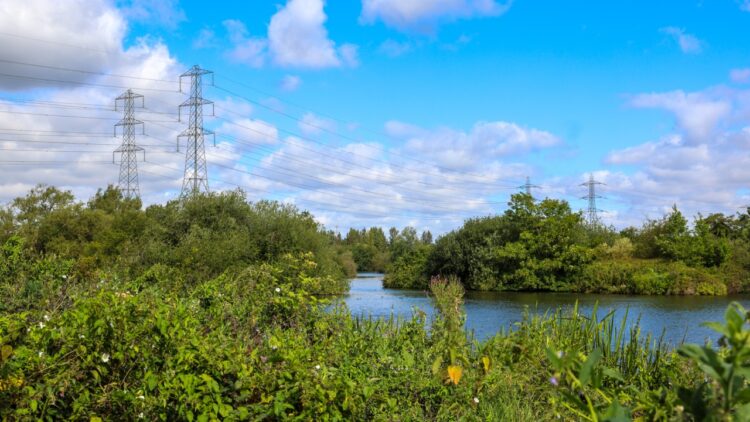 The Netherlands’ Electricity Grid is Under Pressure From its Renewable Energy Sources