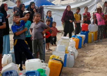 Sharm El Sheikh Hosts Indirect Negotiations to Stop the Gaza War: Egypt media