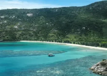 After a Woman Who was Left on The island Died, the Cruise was Canceled