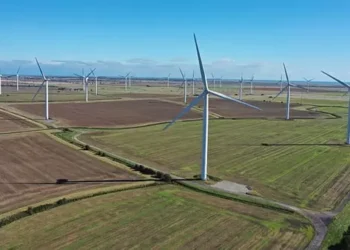 Ørsted of Denmark Challenges Trump’s Wind Project Block in Court