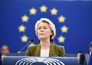 Despite Legal Challenges From MEPs, Von der Leyen Plans to Implement the Disputed Mercosur Trade Accord
