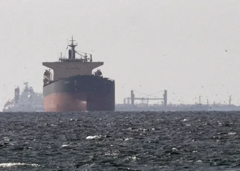 India Hopes that Negotiations with Iran Will Make the Hormuz Route Easier for its Ships