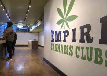 Is the New York Cannabis Industry Truly Thriving?