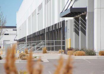 After Relocating to The US to With her Long-Lost love, an 86-year-Old French Was Detained by ICE