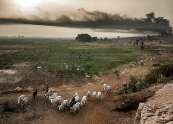 ‘Unequivocal Evidence’: Europe’s Climate Disaster Impacts Food, Health, and Economic Growth