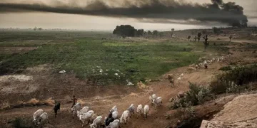 ‘Unequivocal Evidence’: Europe’s Climate Disaster Impacts Food, Health, and Economic Growth