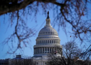 The US House Voted to Terminate the Government Closure over Immigration Operations
