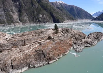 Massive Alaska Megatsunami was The Second Greatest Ever Recorded