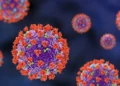 To what Extent Should We be Concerned About the Hantavirus?