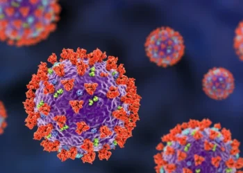 To what Extent Should We be Concerned About the Hantavirus?