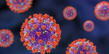 To what Extent Should We be Concerned About the Hantavirus?