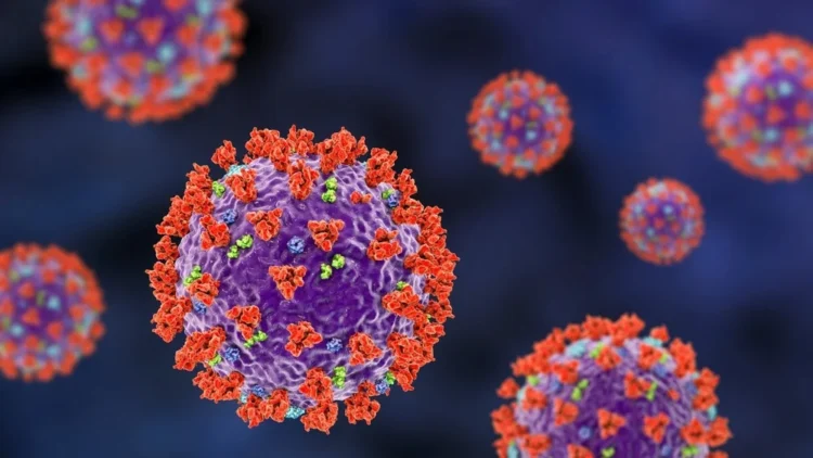 To what Extent Should We be Concerned About the Hantavirus?