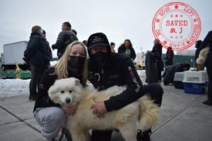 No Dogs Left Behind
