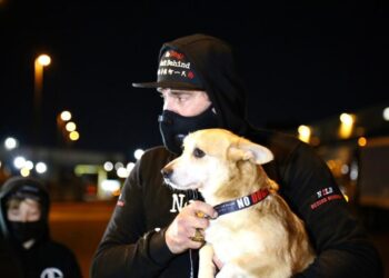 No Dogs Left Behind