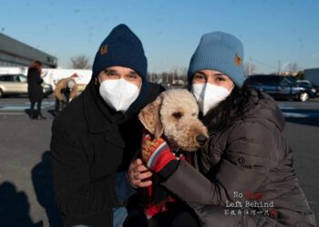 No Dogs Left Behind
