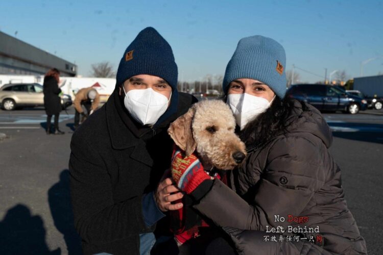 No Dogs Left Behind