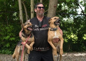 No Dogs Left Behind