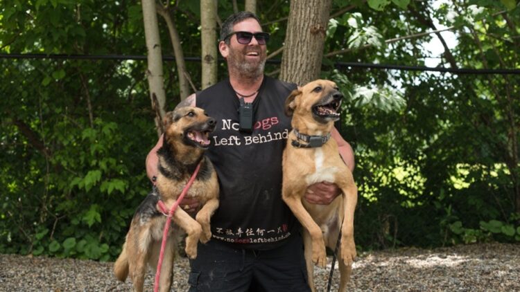 No Dogs Left Behind