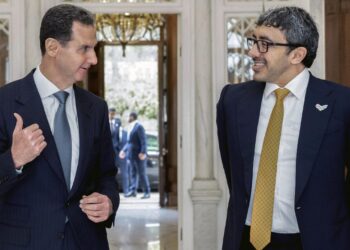 Syrian Foreign Minister and UAE President Talk About Economic Cooperation and Friendly Relationships