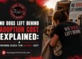 No Dogs Left Behind