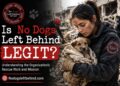 No Dogs Left Behind