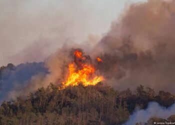 Wildfires Rage Over Southern Spain, Killing Eleven People