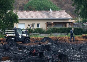 Wildfires in France Reveal Hundreds of WWII Shells in a Village