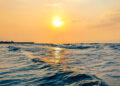 July Temperatures in the World’s Oceans Reached Record Highs