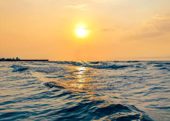 July Temperatures in the World’s Oceans Reached Record Highs