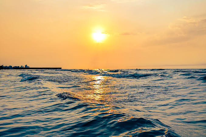 July Temperatures in the World’s Oceans Reached Record Highs