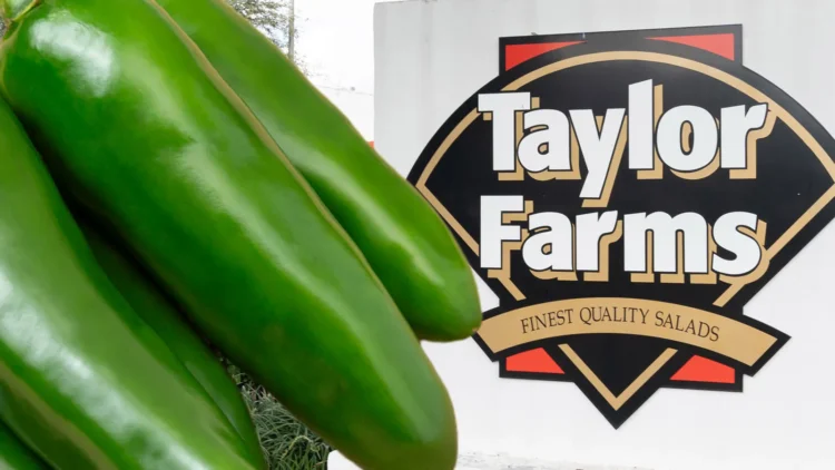 Following a Salmonella Outbreak, Taylor Farms Recalled Jalapeño Products