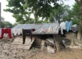 Nepal Intensifies Relief and Recovery Efforts Following Catastrophic Floods, According to the United Nations