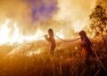 Super’ El Niño Intensifies Causing a Toxic Wildfire Atmosphere to Spread Throughout Southeast Asia