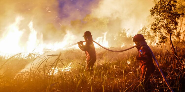 Super’ El Niño Intensifies Causing a Toxic Wildfire Atmosphere to Spread Throughout Southeast Asia