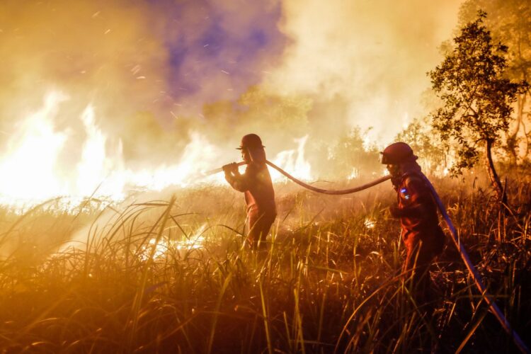 Super’ El Niño Intensifies Causing a Toxic Wildfire Atmosphere to Spread Throughout Southeast Asia