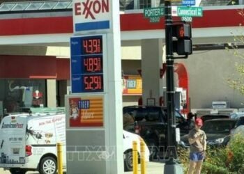 Diesel Prices Surpass $6 per Gallon but US Inflation Remains Stable