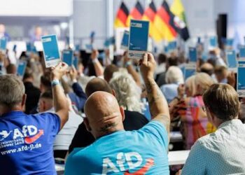 To What Extent do AfD’s Historic Victories Benefit Germany and Europe as a whole?