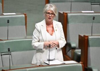 After an Alleged Vehicle Attack, an Australian MP Lost Both Legs, According to his Spouse